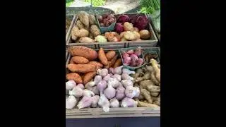 Fresh Organic Produce
