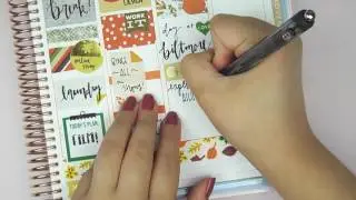 Plan with Me // No Etsy Sticker Challenge!