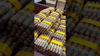 A tribute to the legendary Cuban cigar factories &mdash; the true treasure and timeless legacy of Habanos.