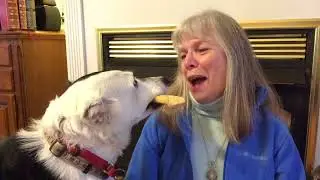 Feb 4 - 10 Psychic Soul Messages & Predictins, 2018