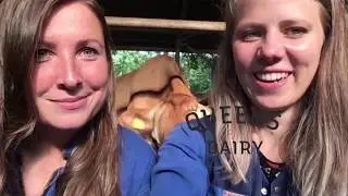 Melk opschuimen: de basis
