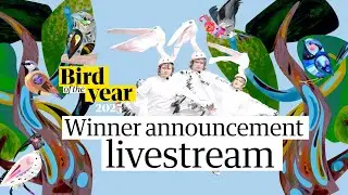 Who will be this year's Australian bird of the year?  &ndash; watch live