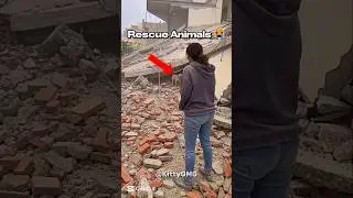 This Rescue Will Restore Your Faith in Humanity 🥺❤️ #animals #rescue #shorts