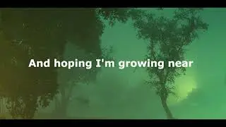 Alabama Shakes - This Feeling (Lyrics)