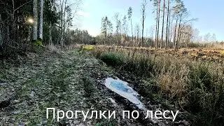 По альтернативной дороге.  Какое разрешение для съемок выбрать?