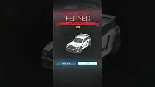 GOLD FENNEC