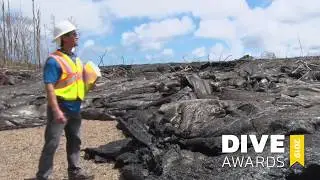 Hawaiian Electric Company Wins Utility Dive&rsquo;s 2019 Utility of the Year Award