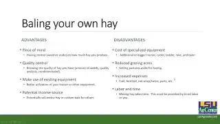 Best Management Practices in Forage Production &ndash; Beef Brunch Educational Series