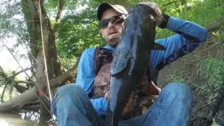 Just a littke Flathead fishing 🎣 #fishing #catfishing #kayakangler #kayakfishing #kayakcatfishing