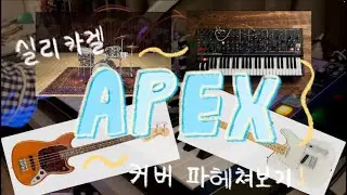 실리카겔 apex 커버 사운드메이킹