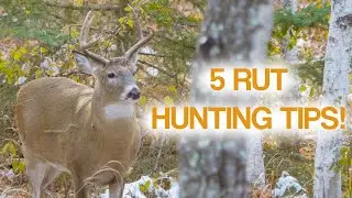 5 RUT HUNTING TIPS!