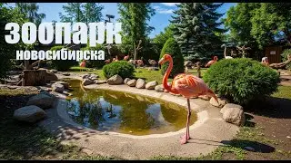 Новосибирский Зоопарк, небольшая прогулка / me at zoo )) Novosibirsk.