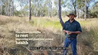 Rotational grazing