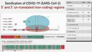 The Sound of the SARS-CoV-2 Genome: 5` and 3` untranslated regions
