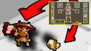 RUSH 500 MILLIONS DE KAMAS RENTABILITE EXCEPTIONELLE - DOFUS RETRO