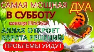 🤲💕✨САМАЯ СИЛЬНАЯ Дуа в СУББОТУ Все желания сбываются! #дуа ! #коран
