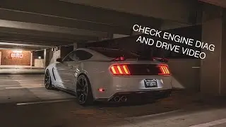 Shelby GT350 (s550) common issue