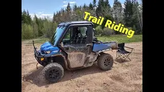 Just A Nice Day in The Woods