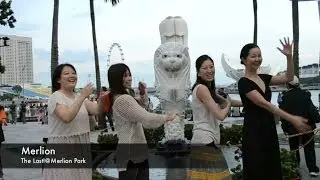 恋するフォーチュンクッキー Singapore Ver. / AKB48[公式]