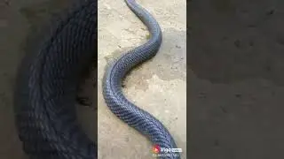 19 September 2018