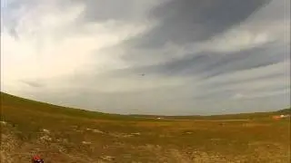 Align T-Rex 450 Pro - Flybar - Mobius Loop - Pilot: Herb Moore