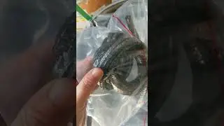 Factory steam valve water pump graphite gland packing for sealing gasket Chinese factory