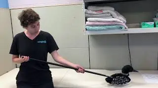 Project Wildlife Volunteers: How to Use a Pole Syringe