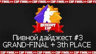 BeReddy 4 - CS 2 Cup | Пивной дайджест №4 | Гранд-Финал и матч за 3-е место