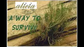 A Way to Survive