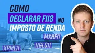 Como declarar FIIs no IMPOSTO DE RENDA - DECLARA&Ccedil;&Atilde;O ANUAL IRPF