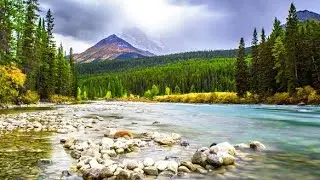 Rapid Green Forest River Flowing Sounds | Relaxing Forest River Sounds 4K | Water White Noise