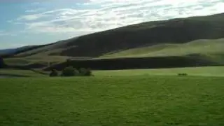 Kelso Tup Sale 2009