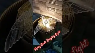 eagle birds flying ceiling hanging led light warm white