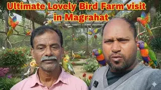 “Colorful Birds of Magrahat 🦜 | A Hidden Bird Farm Visit”