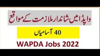 State Bank of Pakistan(SBP) Jobs 2022/Digital/Finance/IT/Legal Service/Financial&HR Department OG2-3