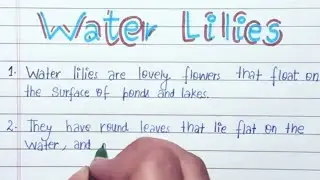 10 lines on Water Lilies in English|Essay on Water Lilies  in English|Essay on Water Lilies10 lines