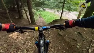 Hopton Woods - first ever visit here so hit it blind, enjoyed that.