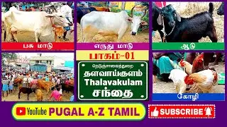 THALAVAIKULAM SANTHAI PART - 01 தளவாகுளம் சந்தை பகுதி-01 #market #cow #tamilnadu #tiruvannamalai