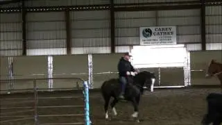 cow 101/ three man sorting vid