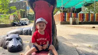 Ben lần đầu đi sở thú 🐒 Nhìn gì cũng tròn mắt 😆