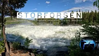 2024 Sweden Storforsen #northornever