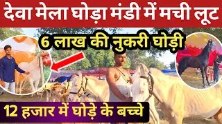 देवा मेला घोड़ा मंडी में सस्ते घोड़े। horse market dewa mela
