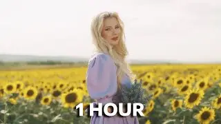 Sandra N - Lumina | 1 Hour