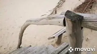 Kur&scaron;ių Nerijoje kopos.