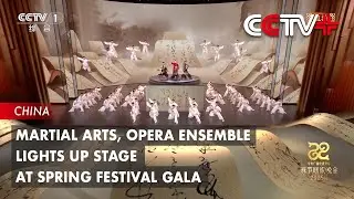 Martial Arts, Opera Ensemble Lights up Stage at Spring Festival Gala