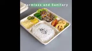 Biodegradable bagasse pulp take away food containers