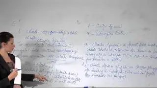 BACALAUREAT 2013  Lecţie video adevarul.ro: proba opţională la Geografie