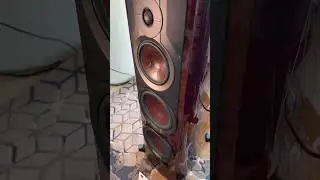 Dali EPIKORE 11&rsquo;s ($60,000/pair) #audio #hifi #audiophile #music