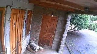 MOV00031