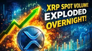 XRP Volume Rises Significantly Because Of Important Cycle Change